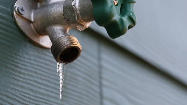Best Local Plumber Services  in Nixon, TX